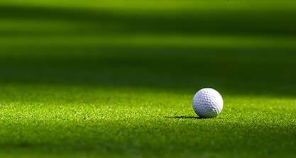 Compost & BioCHAR - T/O Soil Amendments