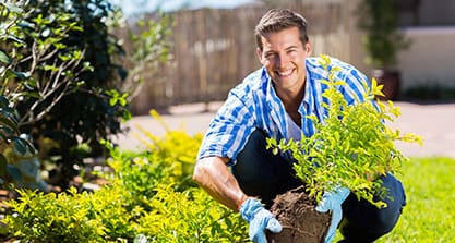 Lawn & Landscape Maintenance Products