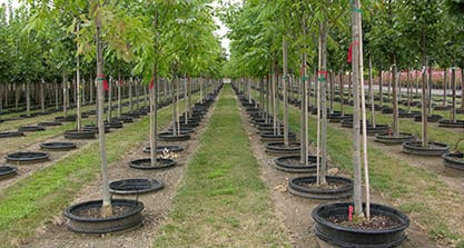 Nursery, Grower & Greenhouse Products