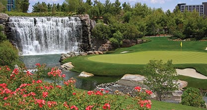 Turf & Ornamental Fertilizer Products