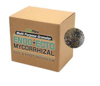 Granular Endo-Ecto Mycorrhizal Soil & Root Inoculum