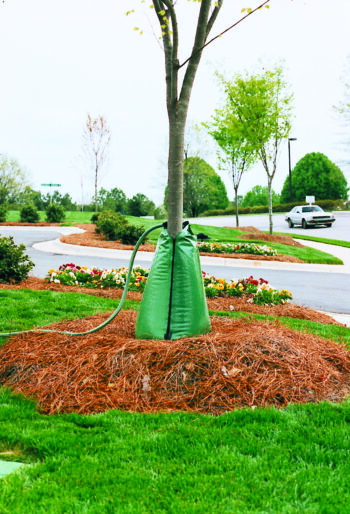 Water-It-WELL Slow-Drip Tree Bags