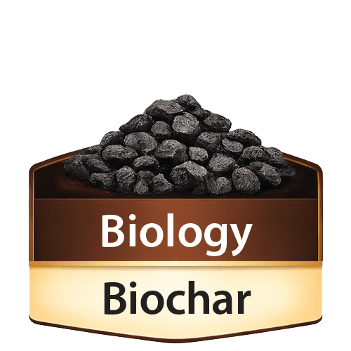 Biochar icon