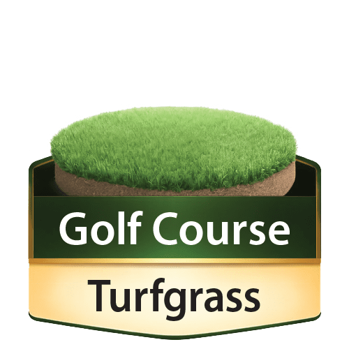Golf Course Turfgrass icon