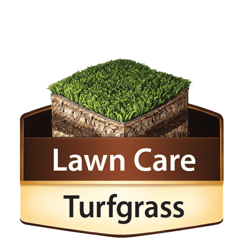 Lawn Care Turfgrass icon