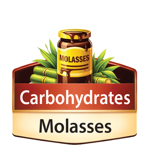 Molasses icon